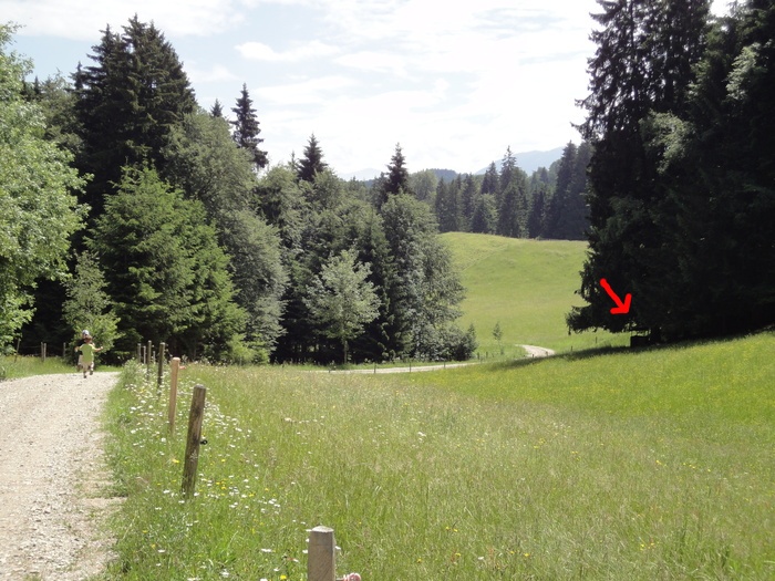Ammerschlucht 02328.JPG