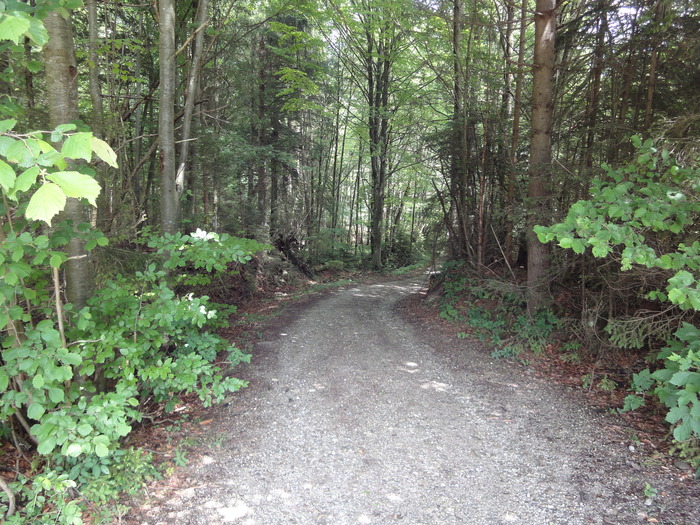 Ammerschlucht 02349.JPG
