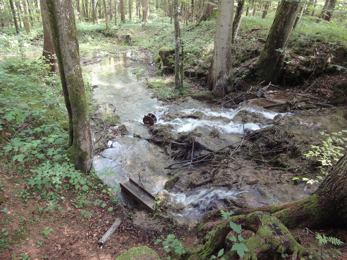 Ammerschlucht 02352.JPG