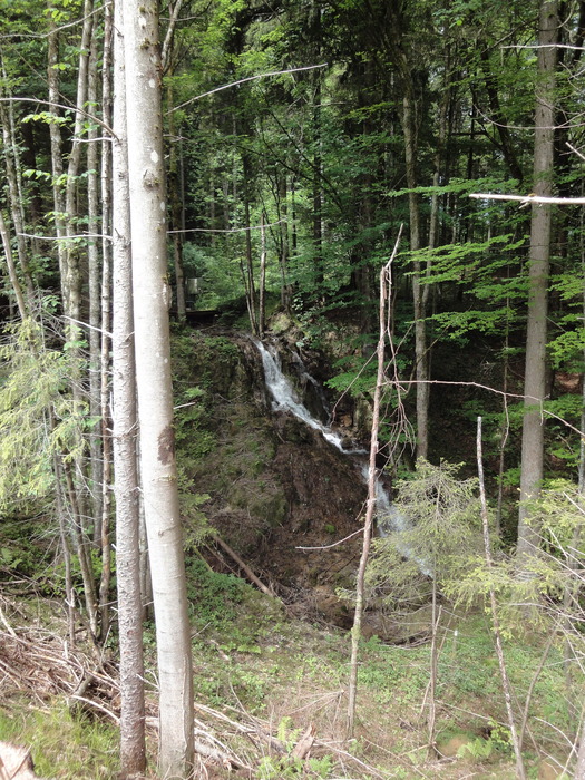 Ammerschlucht 02385.JPG