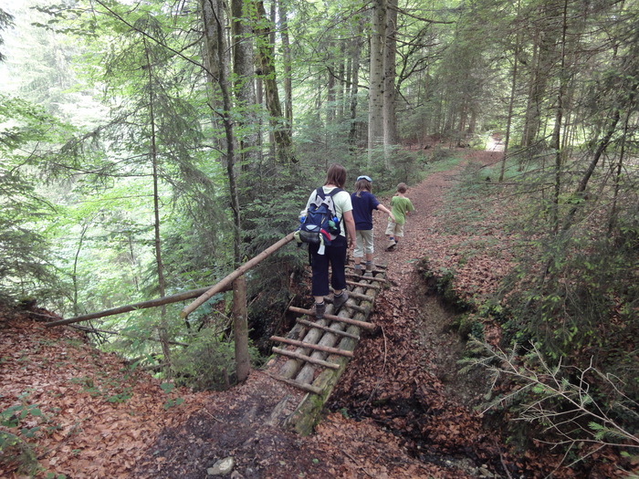 Ammerschlucht 02416.JPG