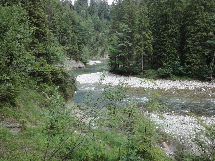 Ammerschlucht 02452.JPG