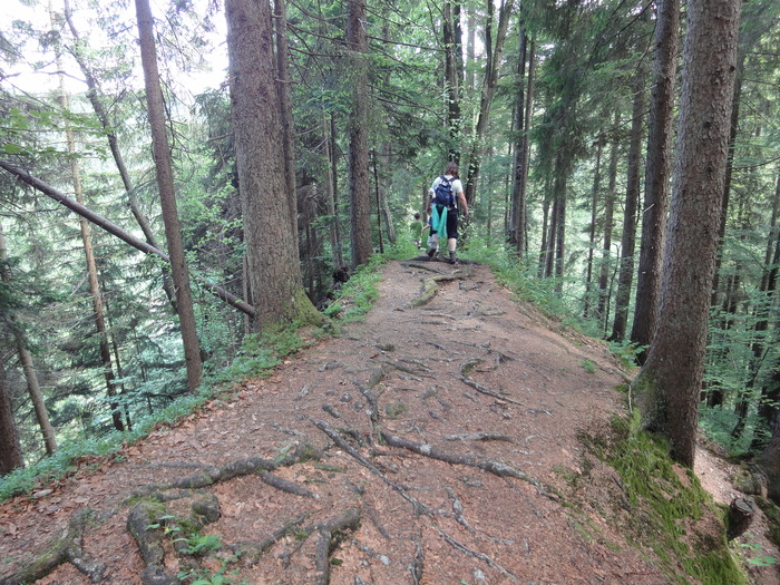 Ammerschlucht 02524.JPG