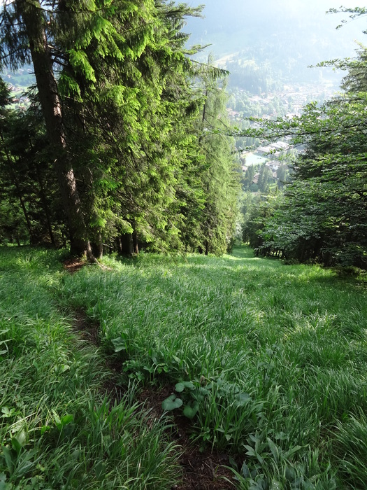 Anklspitz 05121.JPG