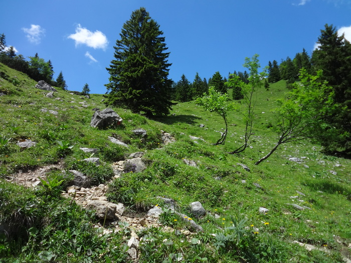 Anklspitz 06159.JPG
