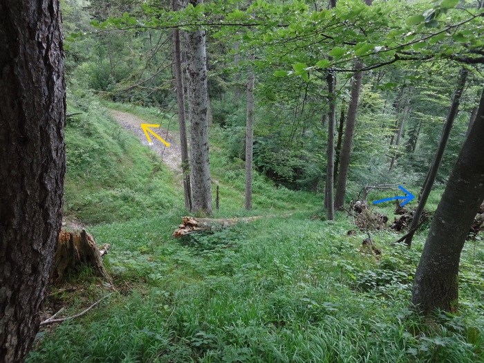 Anklspitz 06920.JPG