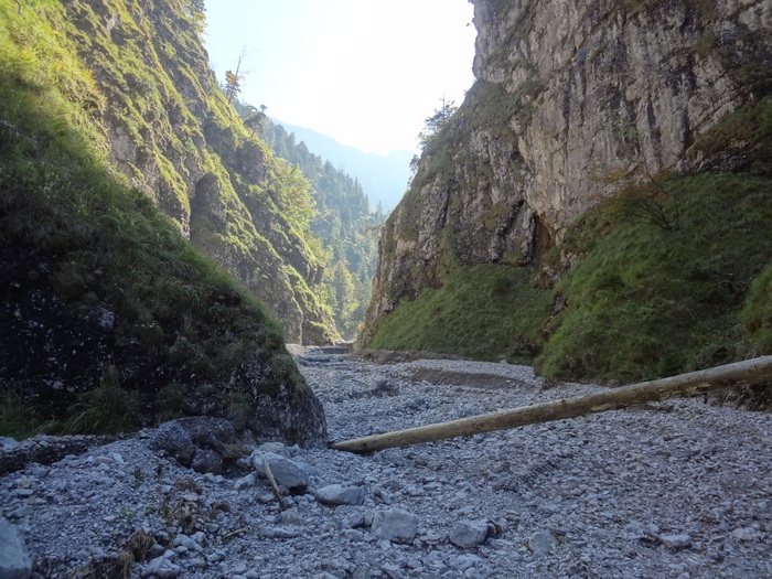 Archtallaine 07809.JPG