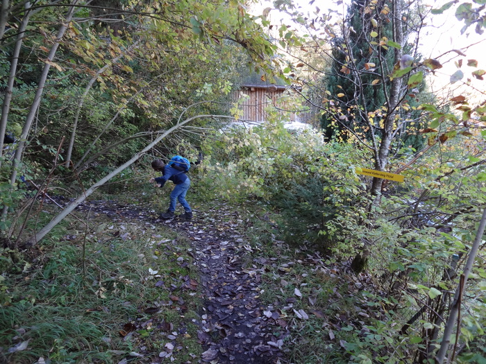Steinwand-Klettersteig 01899.JPG