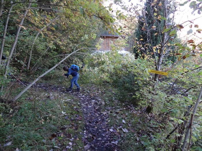 Steinwand-Klettersteig 01899.JPG