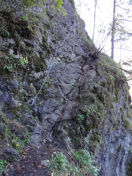 Steinwand-Klettersteig 01917.JPG