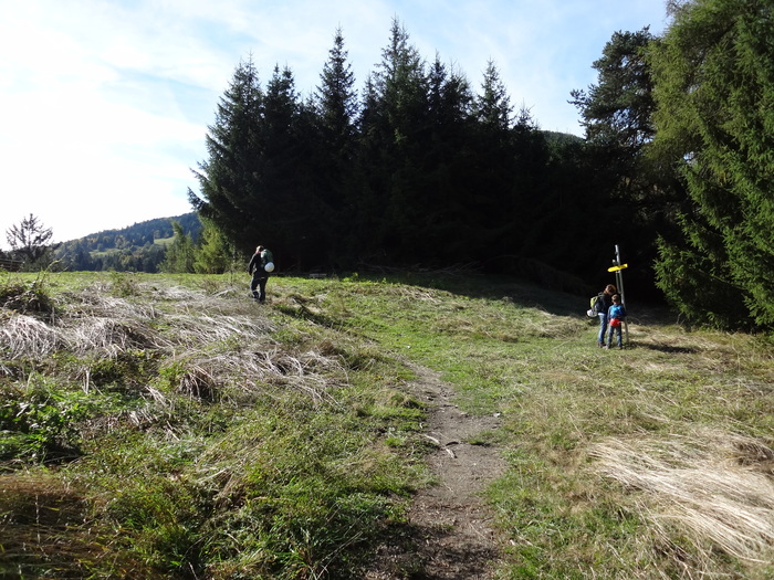 Steinwand-Klettersteig 02526.JPG