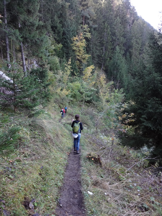 Steinwand-Klettersteig 02545.JPG