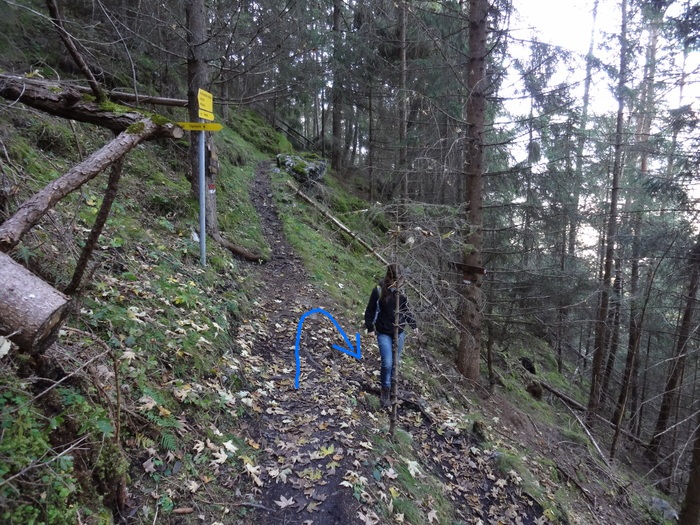 Steinwand-Klettersteig 02553.JPG