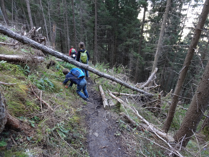 Steinwand-Klettersteig 02560.JPG