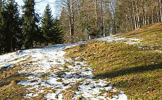 alpe Beichelstein