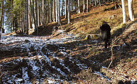 alpe Beichelstein