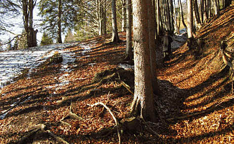 alpe Beichelstein