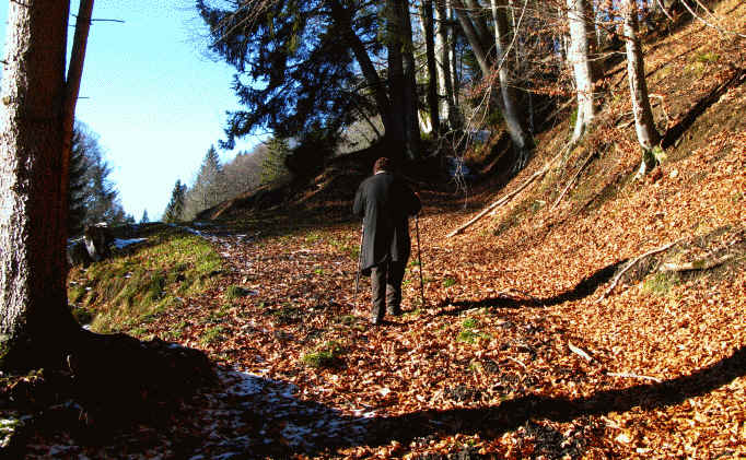 alpe Beichelstein