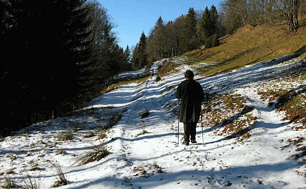 alpe Beichelstein