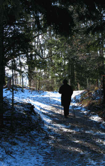 alpe Beichelstein