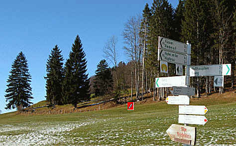 alpe Beichelstein