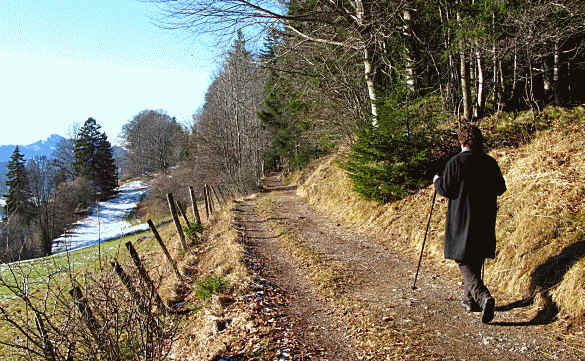 alpe Beichelstein