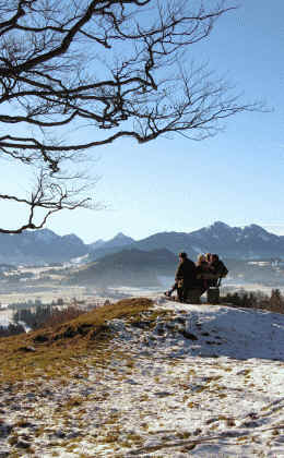 alpe Beichelstein