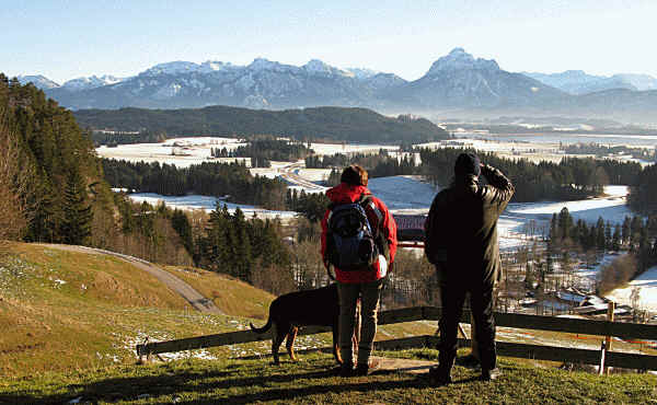 alpe Beichelstein