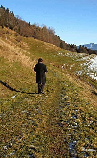 alpe Beichelstein