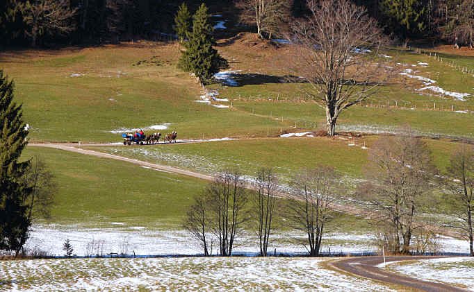 alpe Beichelstein