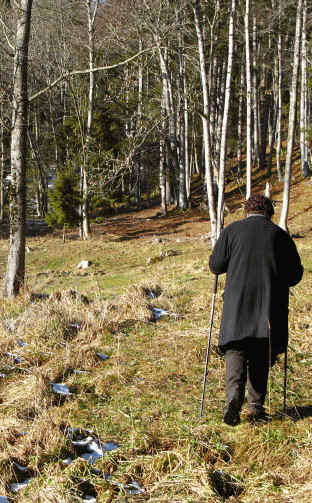 alpe Beichelstein