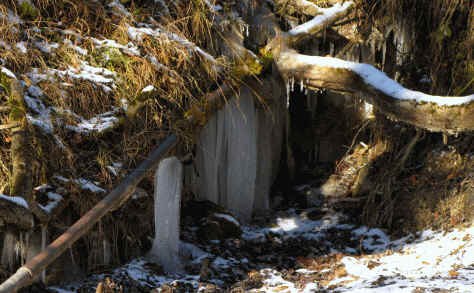 alpe Beichelstein