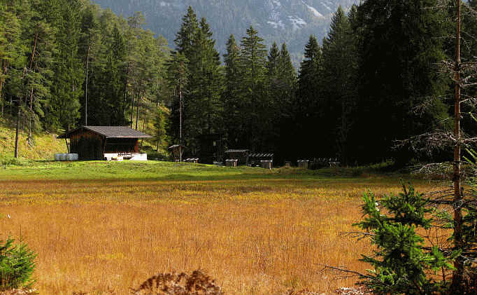 Rund um den Blindsee