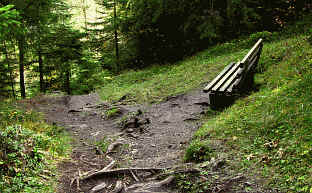 Rund um den Blindsee