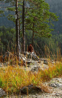 Rund um den Blindsee