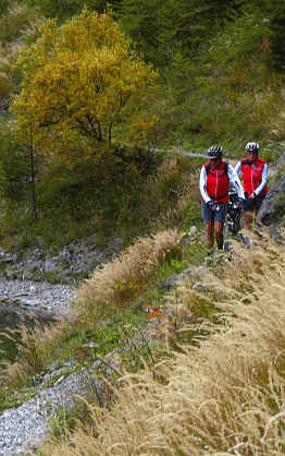 Rund um den Blindsee