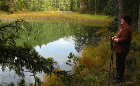 Rund um den Blindsee