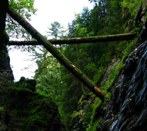 Breitachklamm bei Oberstdorf