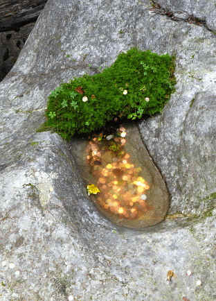 Breitachklamm bei Oberstdorf