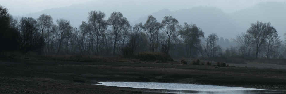 Forggensee Ostufer