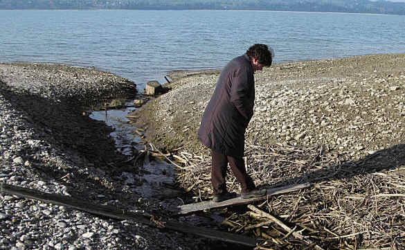 Forggensee Ostufer