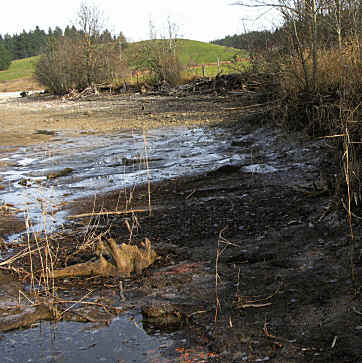 Forggensee Ostufer