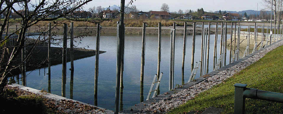 Forggensee Ostufer