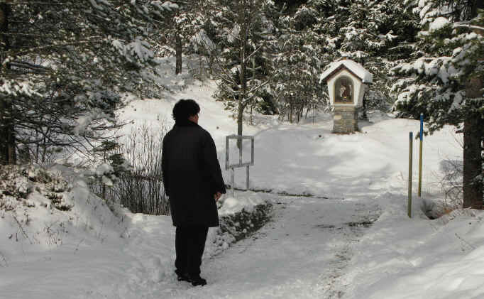 Rund um den Hüttenmühlsee