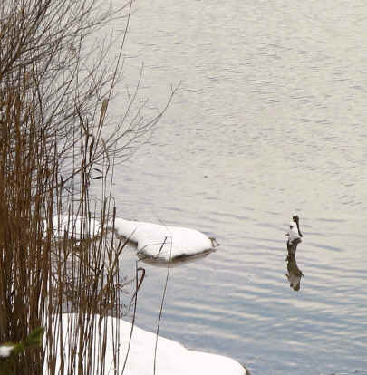 Rund um den Hüttenmühlsee