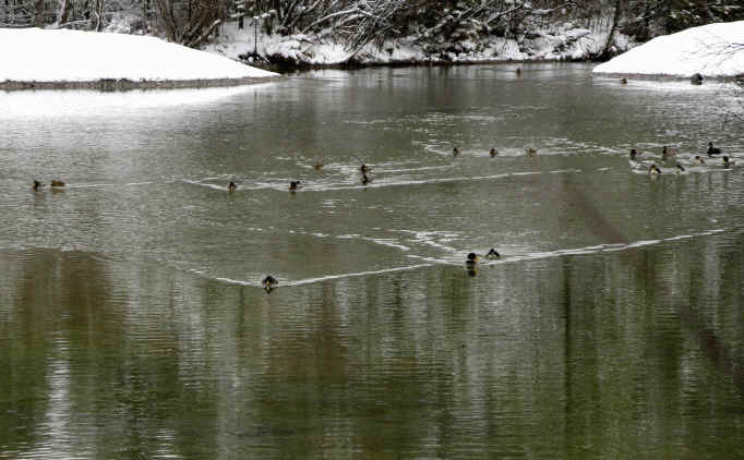 Rund um den Hüttenmühlsee