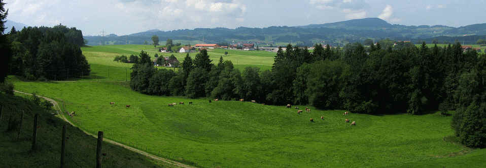 Ruine Langegg