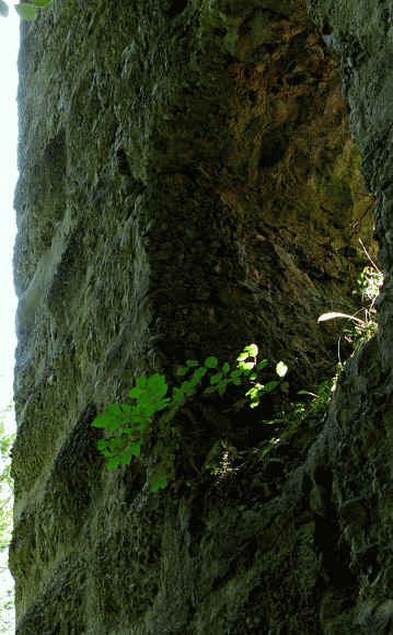 Ruine Langegg