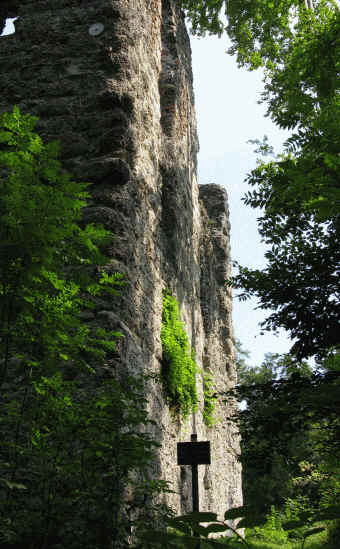 Ruine Langegg