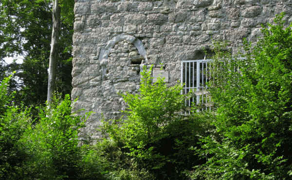 Ruine Langegg